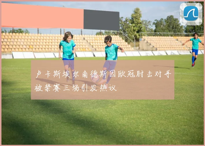 卢卡斯埃尔南德斯因欧冠肘击对手被禁赛三场引发热议
