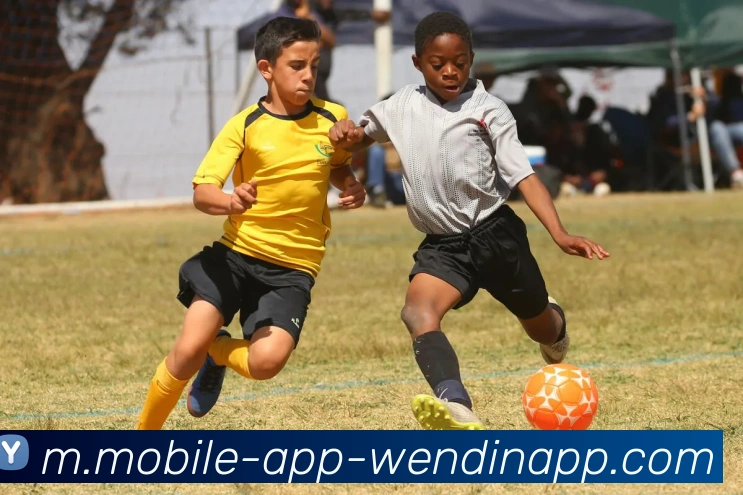 问鼎娱乐APP 封面图